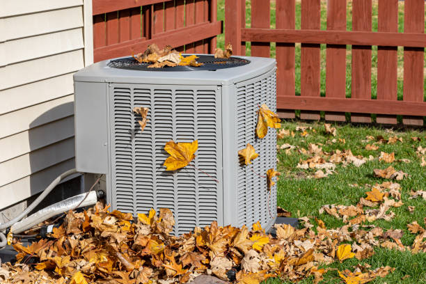 Best HVAC air duct cleaning  in Wendell, NC